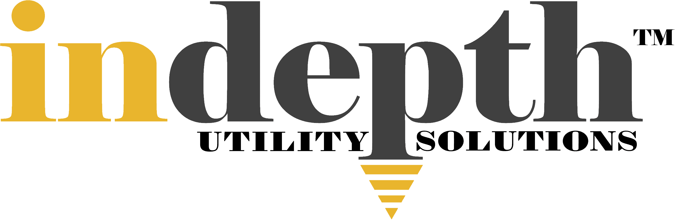 INDEPTH Logo